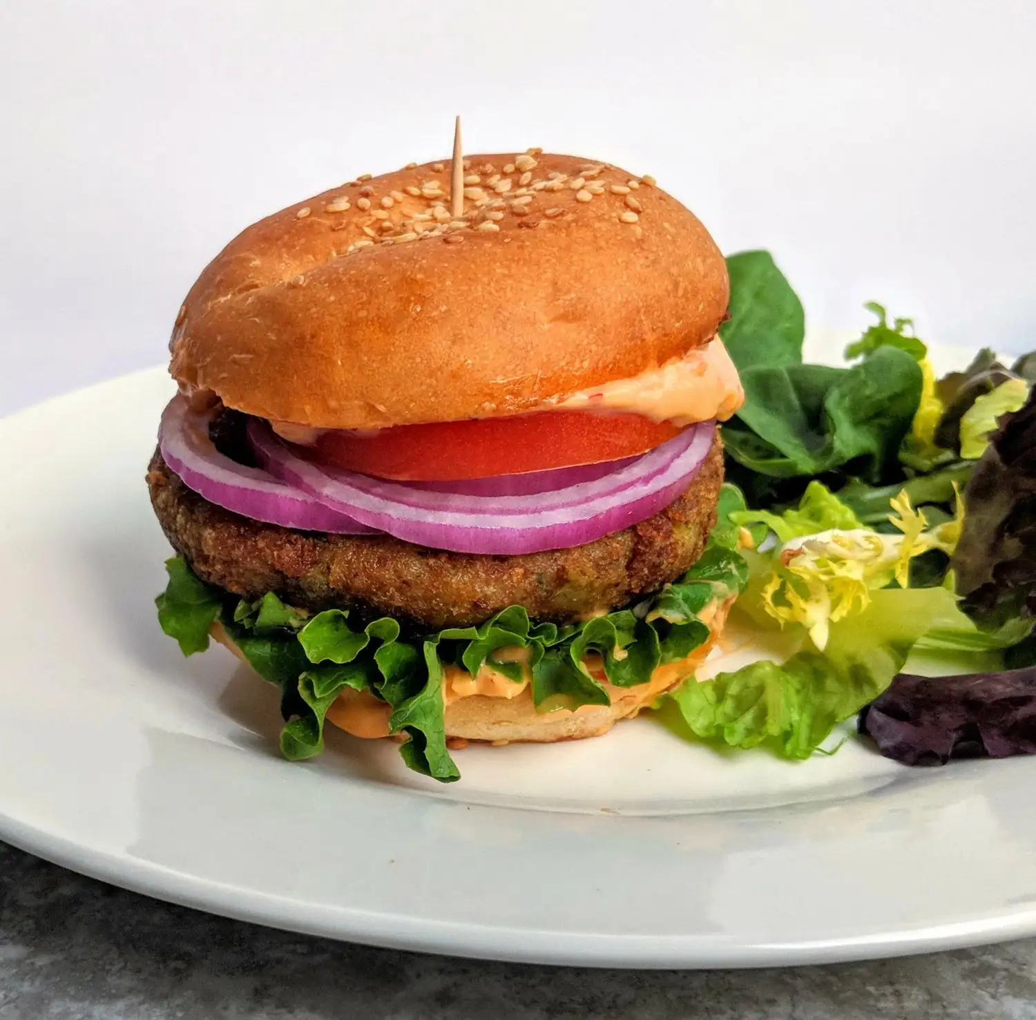 Snakkveg Burger SR